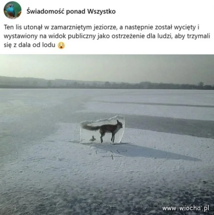 Myślę, że jak już się roztopi 