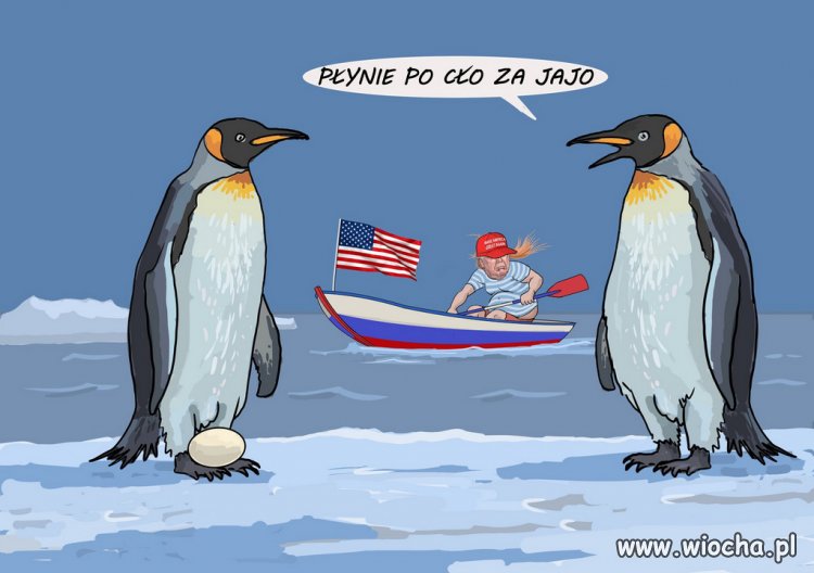 Trump nałożył cła na wyspy na których żyją tylko pingwiny...