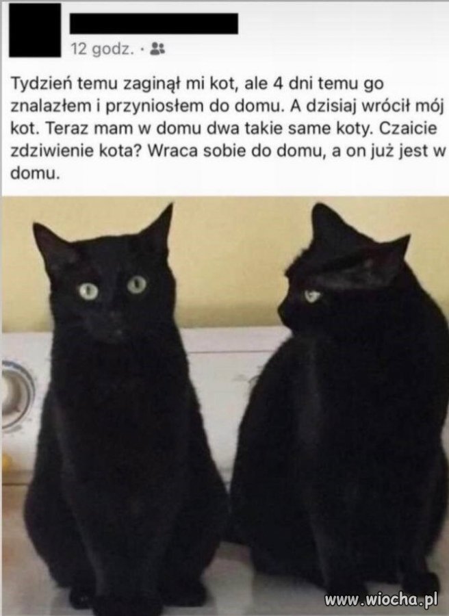 Idź, zobacz, czy cię nie ma