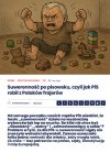 Suwerenność? Czyli "odczepcie się, bo kradniemy”