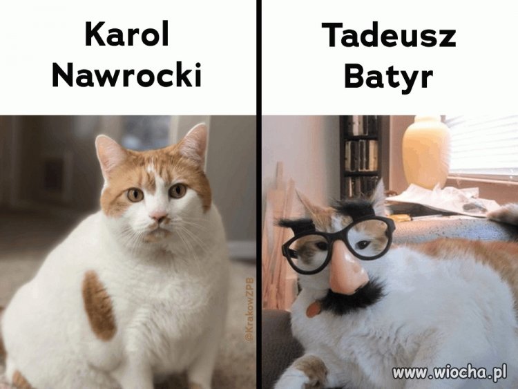 Tak to wygląda