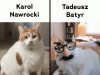 Tak to wygląda
