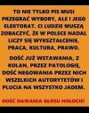 Nic dodać, nic ująć 
