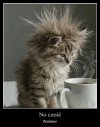Poranne wstawanie moze byc trudne...