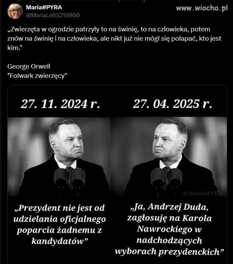 Tonący brzydko się chwyta