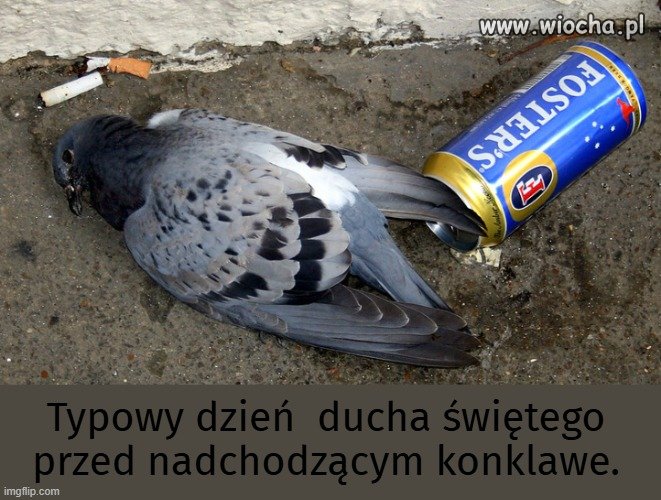 Podjęcie decyzji to spory stres.