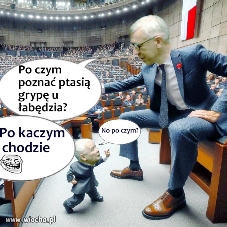 Kaczy chód