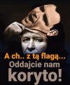 Tak to wygląda