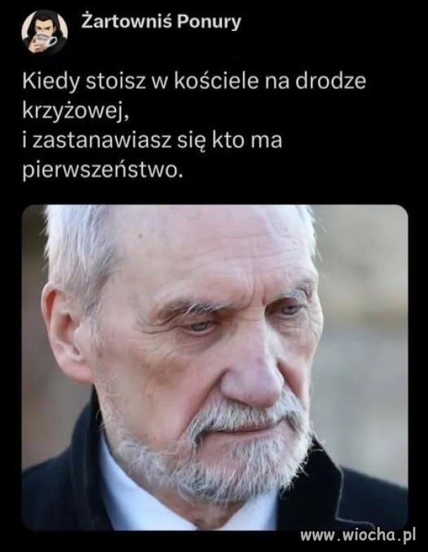 Świąteczny dylemat Antka Macierewicza ...