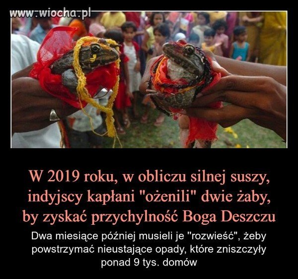 Żabi 