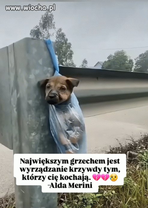 Trzeba być ostatnim ścierwem żeby takie coś zrobić