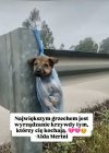 Trzeba być ostatnim ścierwem żeby takie coś zrobić