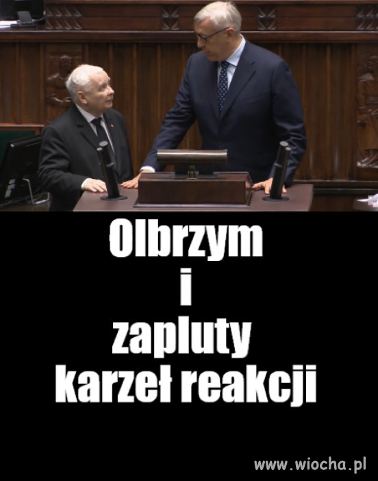 W krzywym zwierciadle