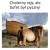 Dawno dawno temu