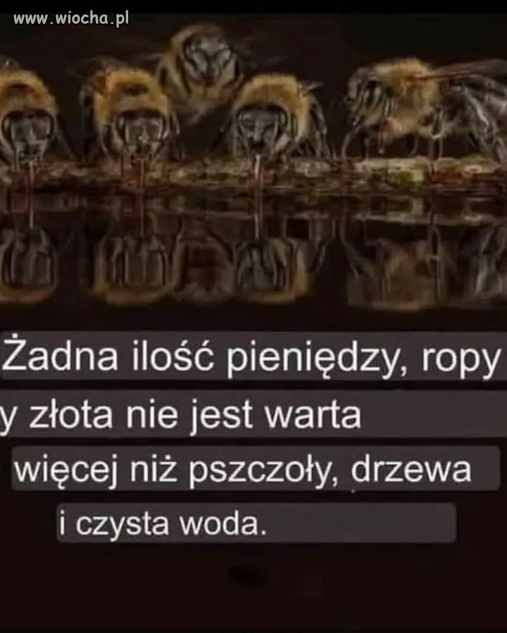 Potwierdzam