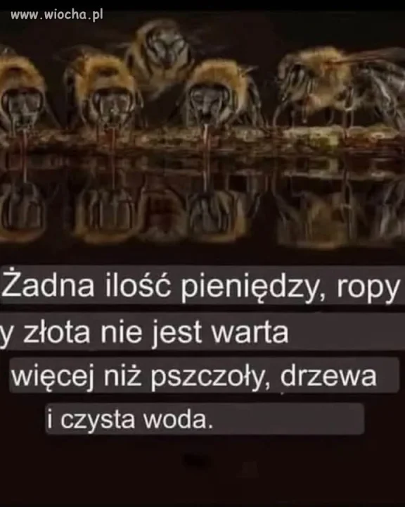 Potwierdzam