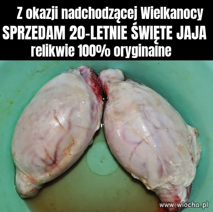 Święte jak właściciel 