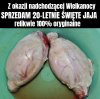 Święte jak właściciel 