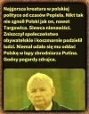 Nic dodać