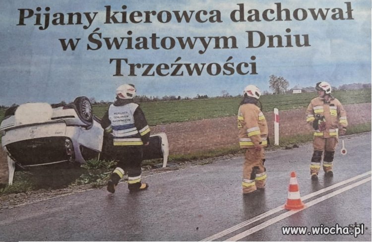 Typowy pisowski wyborca: patriota, Polak, katolik