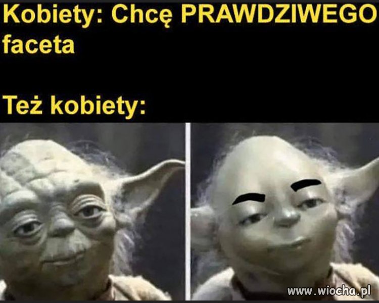 Tak, tak to wygląda 
