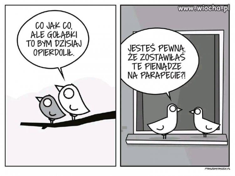 Opierdolić gołąbka 