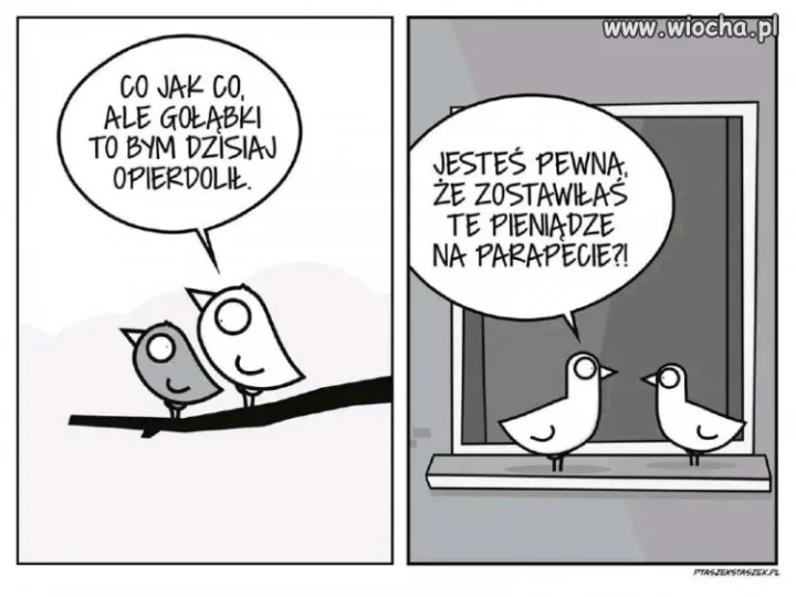 Opierdolić gołąbka 