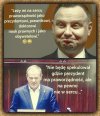 Donald trafnie o Anżeju