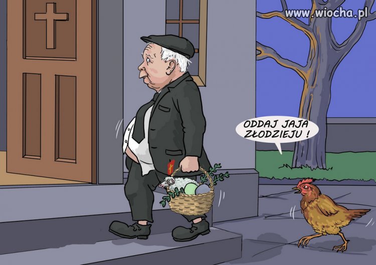 Nawet kury wiedzą że PiS to złodzieje i oszuści Kaczyńskiego!