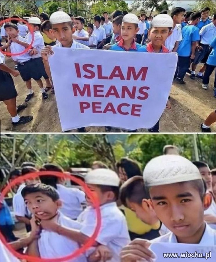 Bo islam to przecież religia pokoju