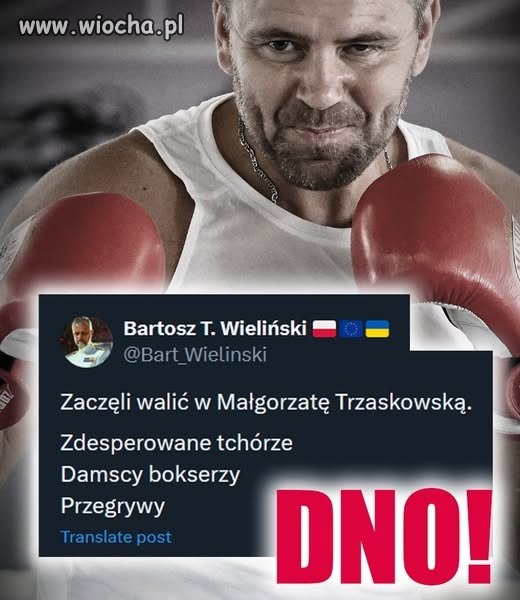 Damski bokser i jego kolesie.