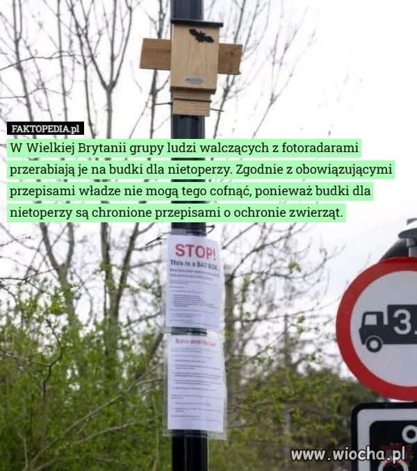 Taka ciekawostka.