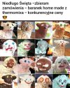 Sezon na barany rozpoczęty