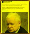 Podła kanalia