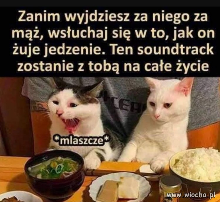  żona mówiła, że sie przyzwyczaiła 