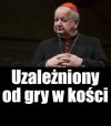 Do dwóch paliczków kropla krwi gratis