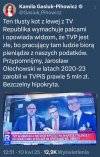 Trójka pisowskich psów w natarciu