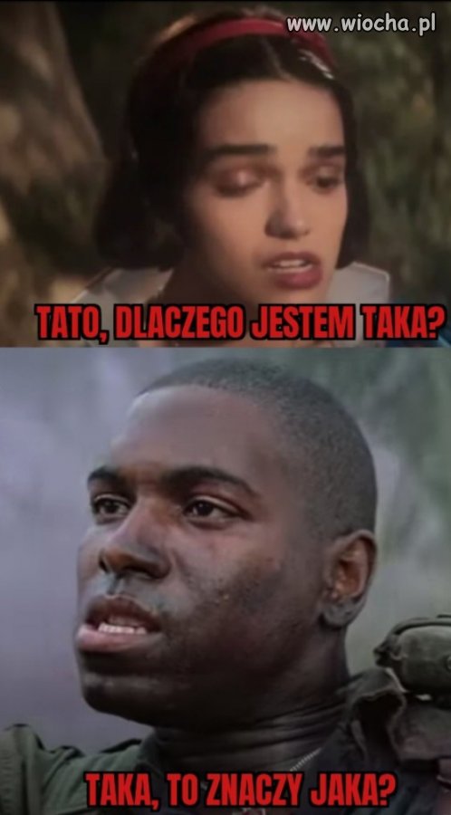 Nic dodawać nie potrzeba 