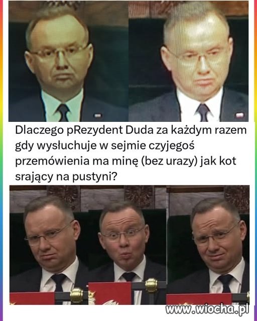 Bo on nic nie rozumie i ciągle się uczy