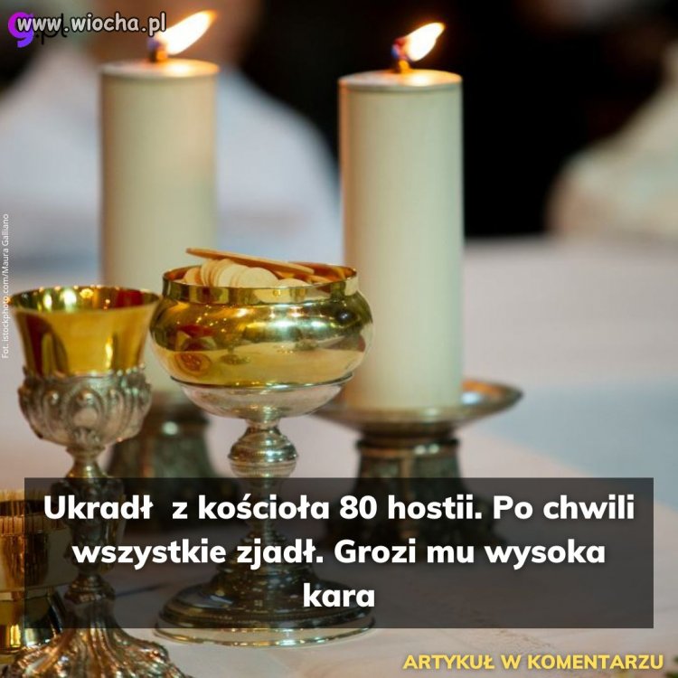 Kanibal