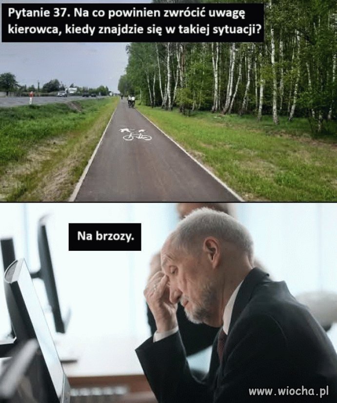 Kulisy egzaminu Antka