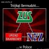 W rzeczy
