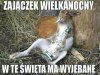 Wesołych świąt...