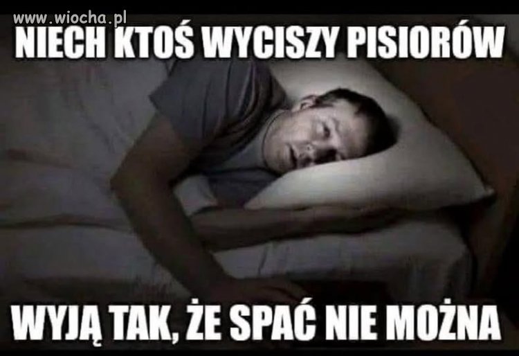No i się obesrali