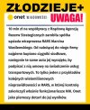 Jak się robiło biznes za czasów PiS ?