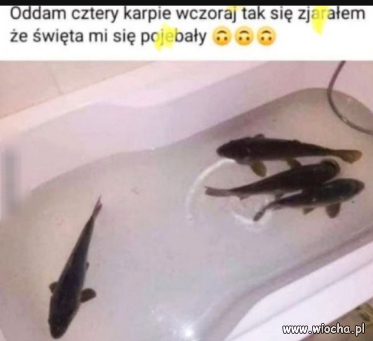 Czasem tak bywa 