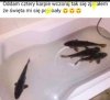 Czasem tak bywa 