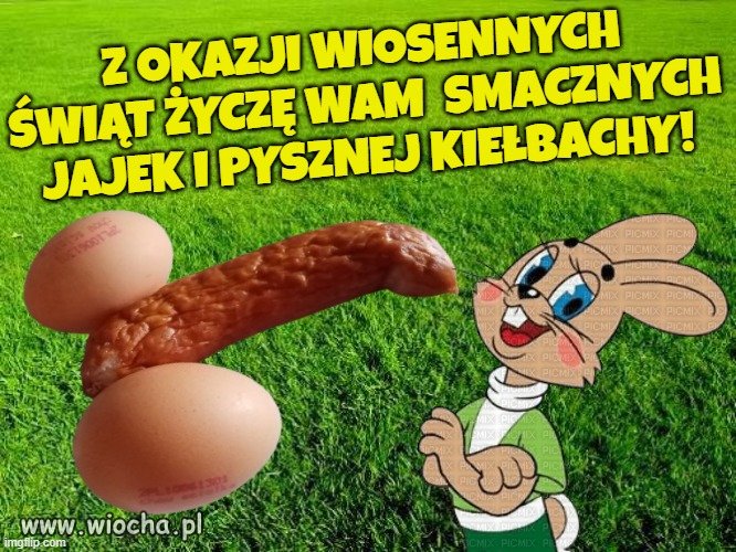 Cieszcie się wiosną! 