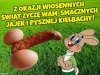 Cieszcie się wiosną! 