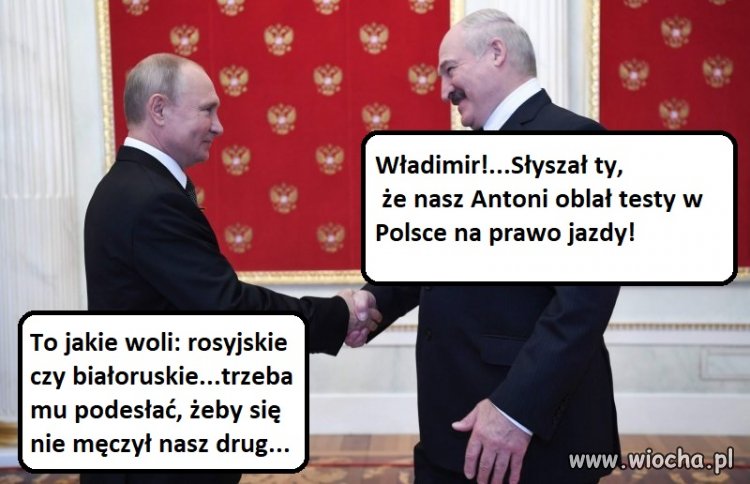 Koleżeńska przysługa